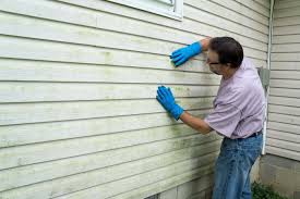 Best Storm Damage Siding Repair  in Iowa, LA